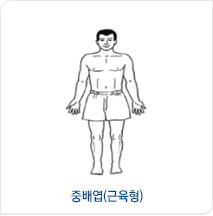 중배엽(근육형) 체형 예시 이미지