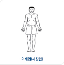 외배엽(세장협) 체형 예시 이미지