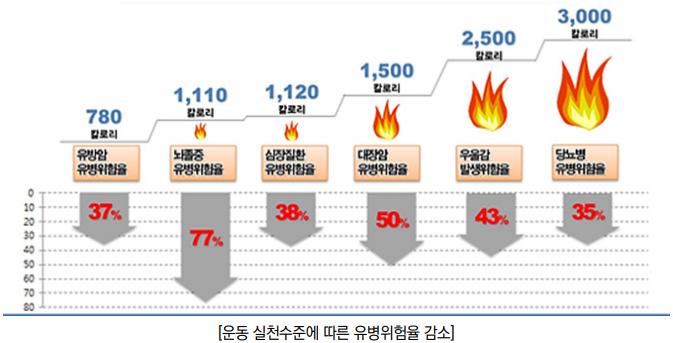 하단 설명 참조