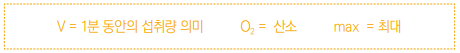V=1분동안의 섭취량 의미, O2=산소, max=최대 