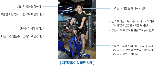 자전거 타기의 바른 자세 이미지. 하단 설명 참고