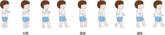 걷기 발달 단계 시작-초보-성숙의 자세를 그려놓은 이미지