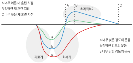 바디빌딩을 위한 휴식 그래프 이미지