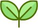 새싹